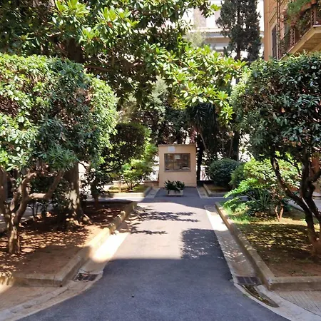 Borghese Magnolia Rome