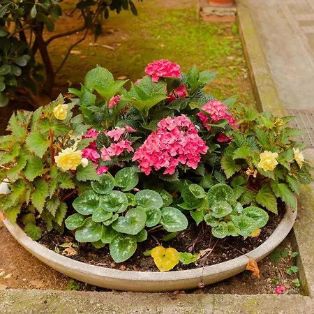 Apartman Borghese Magnolia Róma