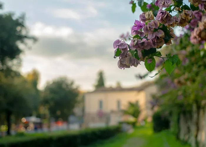 Apartment Borghese Magnolia *