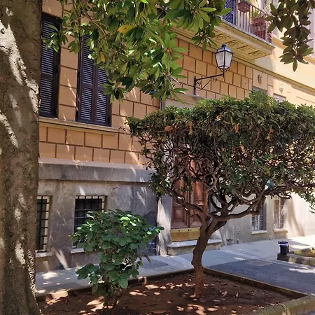 Borghese Magnolia *