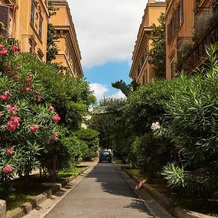 Borghese Magnolia * Řím