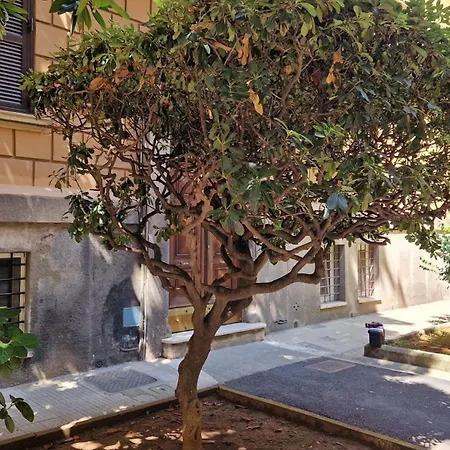 Borghese Magnolia Apartmán *